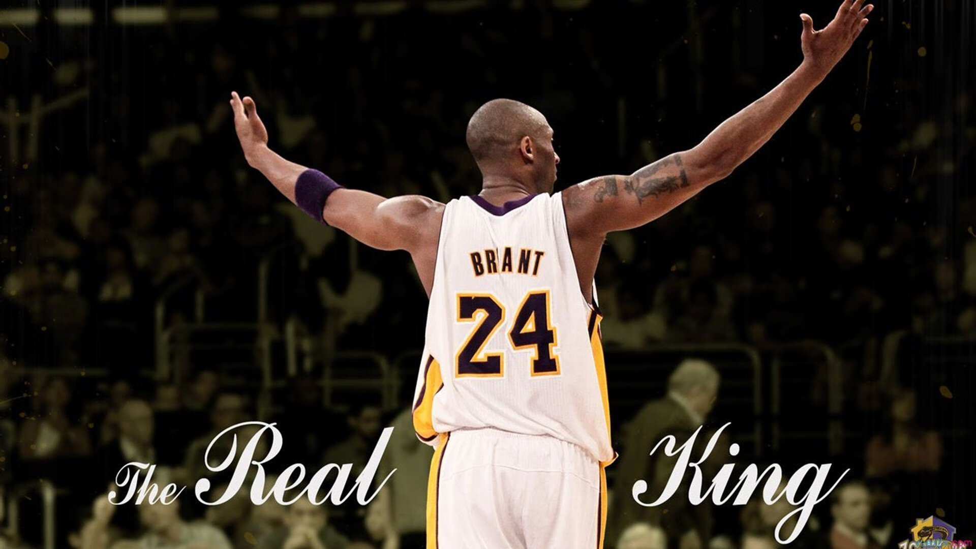 开云体育平台APP-戈贝尔式接管，当防守悍将的意志成为争冠天平上的终极砝码